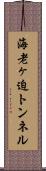 海老ヶ迫トンネル Scroll