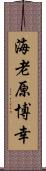 海老原博幸 Scroll