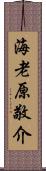 海老原敬介 Scroll