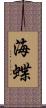 海蝶 Scroll