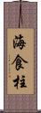 海食柱 Scroll