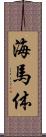 海馬体 Scroll