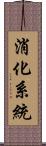 消化系統 Scroll