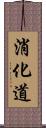 消化道 Scroll