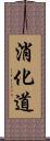 消化道 Scroll