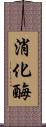 消化酶 Scroll
