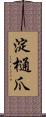 淀樋爪 Scroll