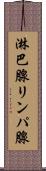 淋巴腺 Scroll