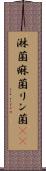 淋菌 Scroll