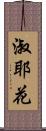 淑耶花 Scroll