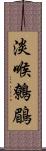 淡喉鷯鶥 Scroll