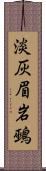 淡灰眉岩鵐 Scroll