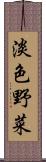 淡色野菜 Scroll