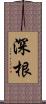 深根 Scroll