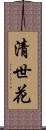 清世花 Scroll