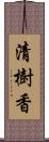 清樹香 Scroll