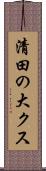 清田の大クス Scroll