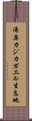 湯原カジカガエル生息地 Scroll