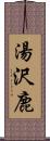 湯沢鹿 Scroll