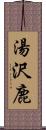 湯沢鹿 Scroll