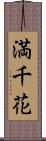 満千花 Scroll