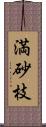 満砂枝 Scroll