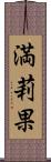 満莉果 Scroll
