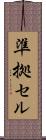 準拠セル Scroll