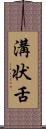 溝状舌 Scroll