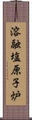 溶融塩原子炉 Scroll
