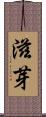 滋芽 Scroll