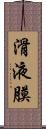 滑液膜 Scroll