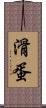 滑蛋 Scroll