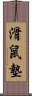 滑鼠墊 Scroll