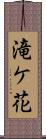 滝ケ花 Scroll
