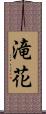 滝花 Scroll