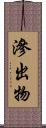 滲出物 Scroll