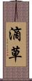 滴草 Scroll