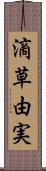 滴草由実 Scroll