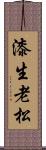 漆生老松 Scroll