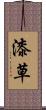 漆草 Scroll