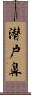 潜戸鼻 Scroll