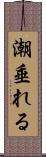 潮垂れる Scroll