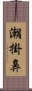 潮掛鼻 Scroll