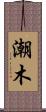 潮木 Scroll