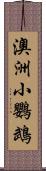 澳洲小鸚鵡 Scroll