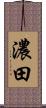 濃田 Scroll