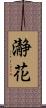 瀞花 Scroll
