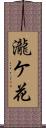 瀧ケ花 Scroll