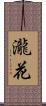 瀧花 Scroll